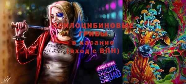 a pvp Абинск