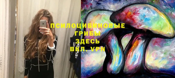соль курить ск Алзамай