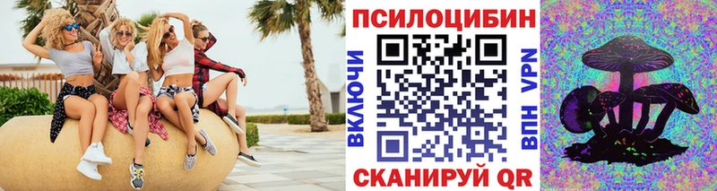 это телеграм Сарапул Псилоцибиновые грибы Psilocybe купить закладку
